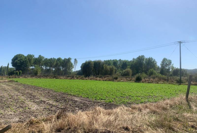 Propiedad de Jaquelin Jara Propiedades