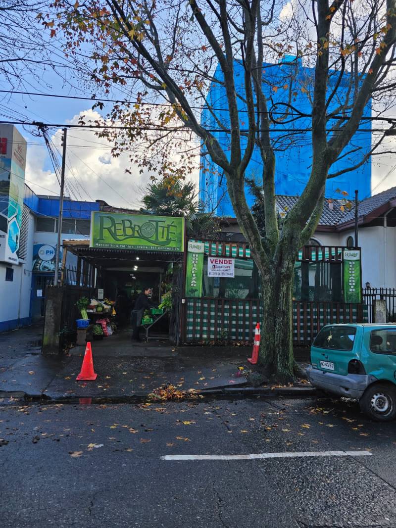  Concepción centro
